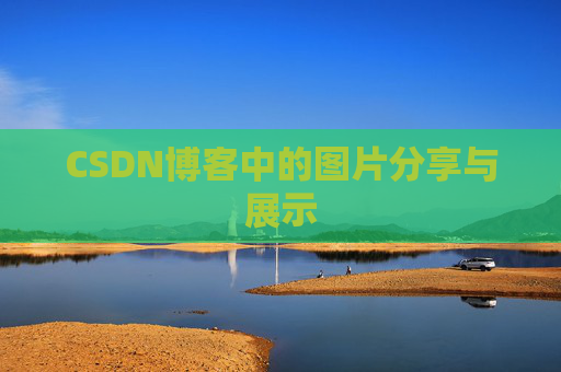 CSDN博客中的图片分享与展示